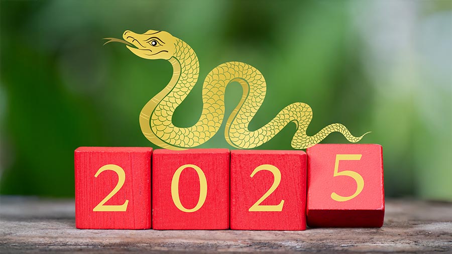 2025 Chines New Year's Holiday Notice -UTPFiber.com